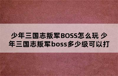 少年三国志叛军BOSS怎么玩 少年三国志叛军boss多少级可以打